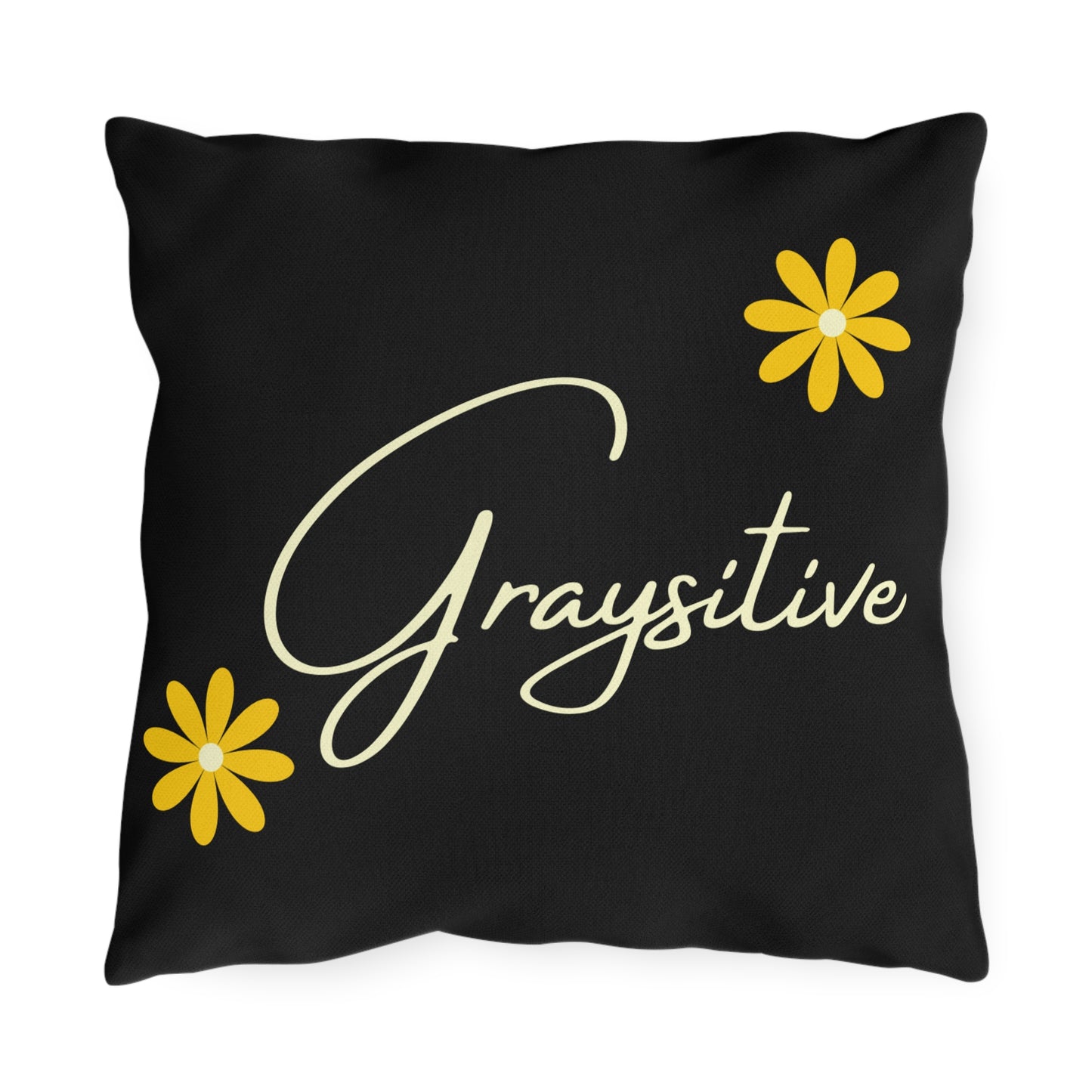 Graysitive Outdoor Pillows