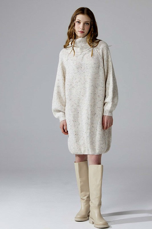 Plus Turtleneck Balloon Confetti Sweater Dress