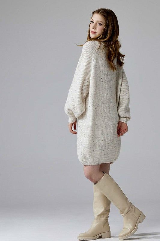 Plus Turtleneck Balloon Confetti Sweater Dress