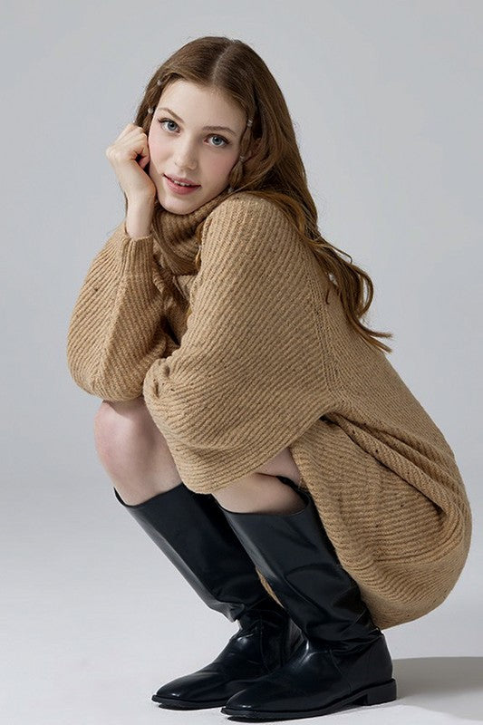 Plus Turtleneck Balloon Confetti Sweater Dress