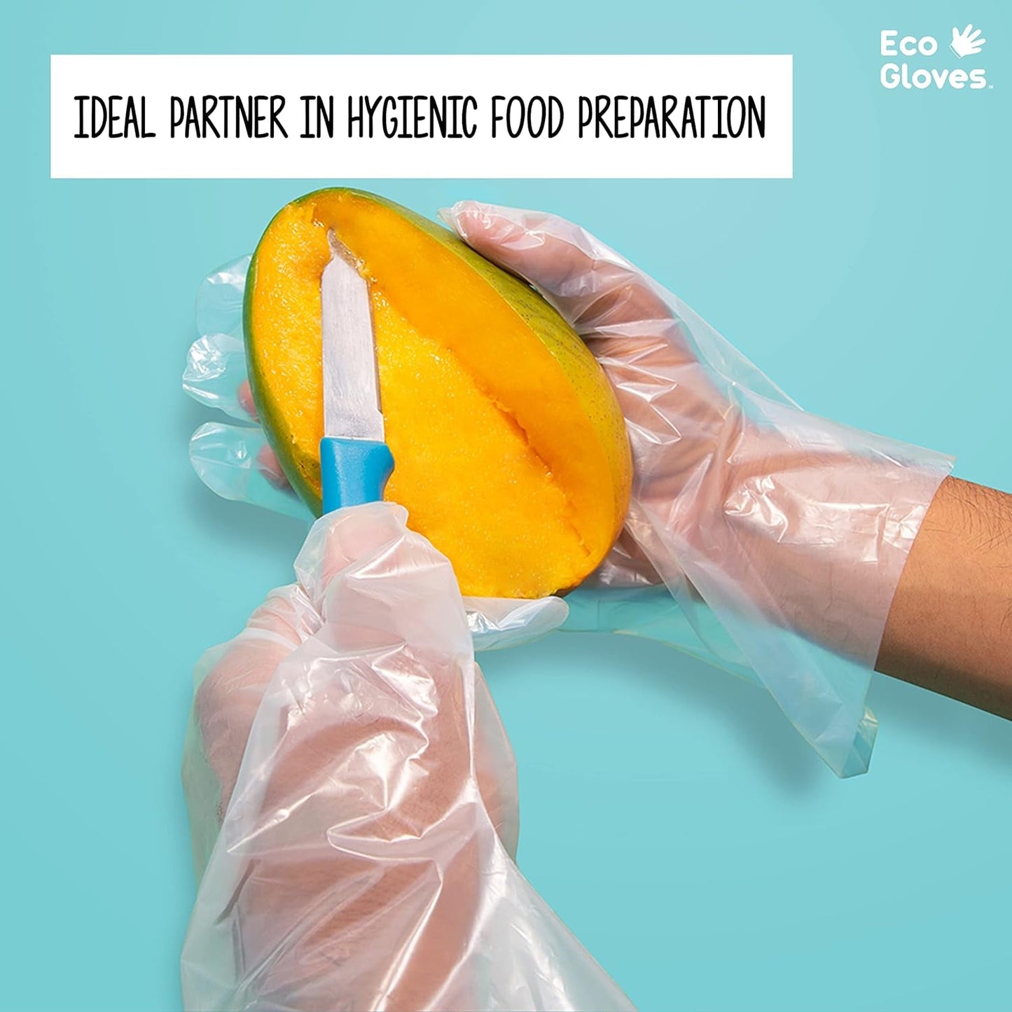 Eco Gloves — The Safe, Practical, and Sustainable Choice for Every Task