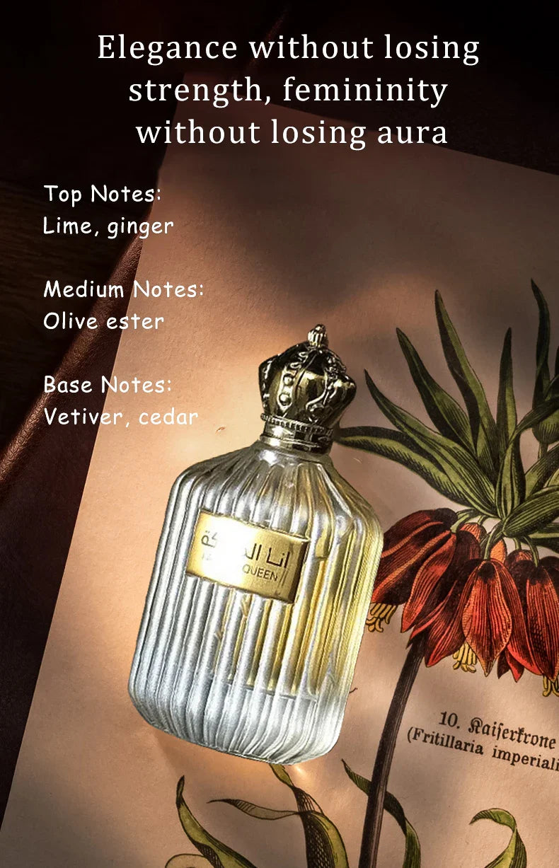 100ml High Quality Original Mens Perfume Dubai Prince | Ships from US